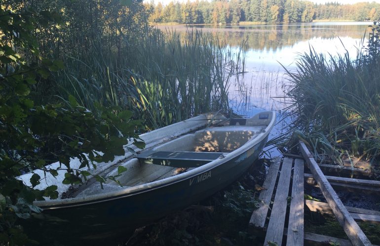 Loneliness and the Lake