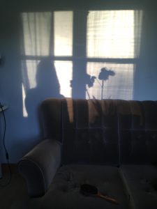 shadowportraitHS